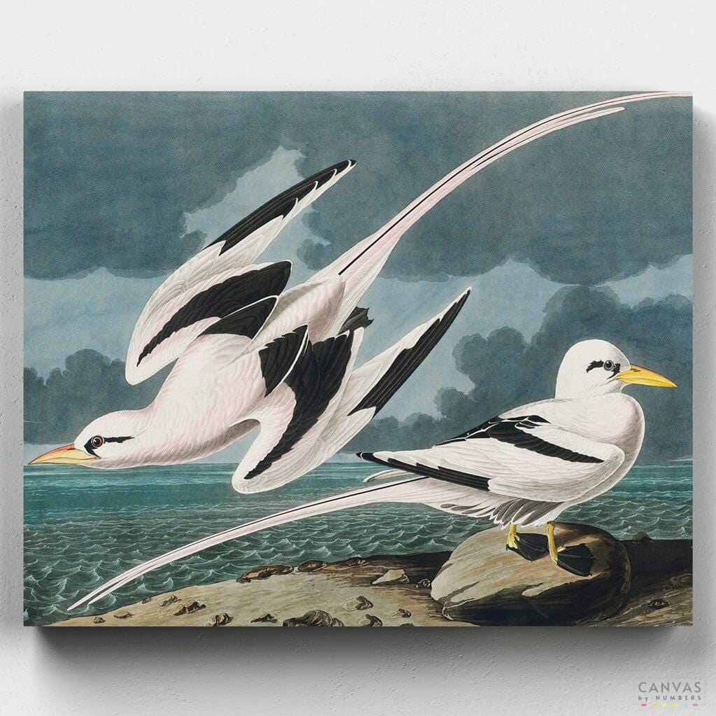 Tropic Bird - Paint by Numbers-Paint by Numbers-16"x20" (40x50cm) No Frame-Canvas by Numbers US