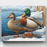 Winter Visitors - Paint by Numbers-Relax painting a beautiful pair of ducks surrounded by an idyllic snowscape with our premium paint by numbers and forget about low-quality kits.-Canvas by Numbers